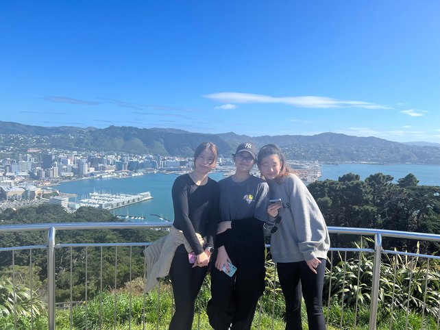 Homestay students on mount vic.jpg